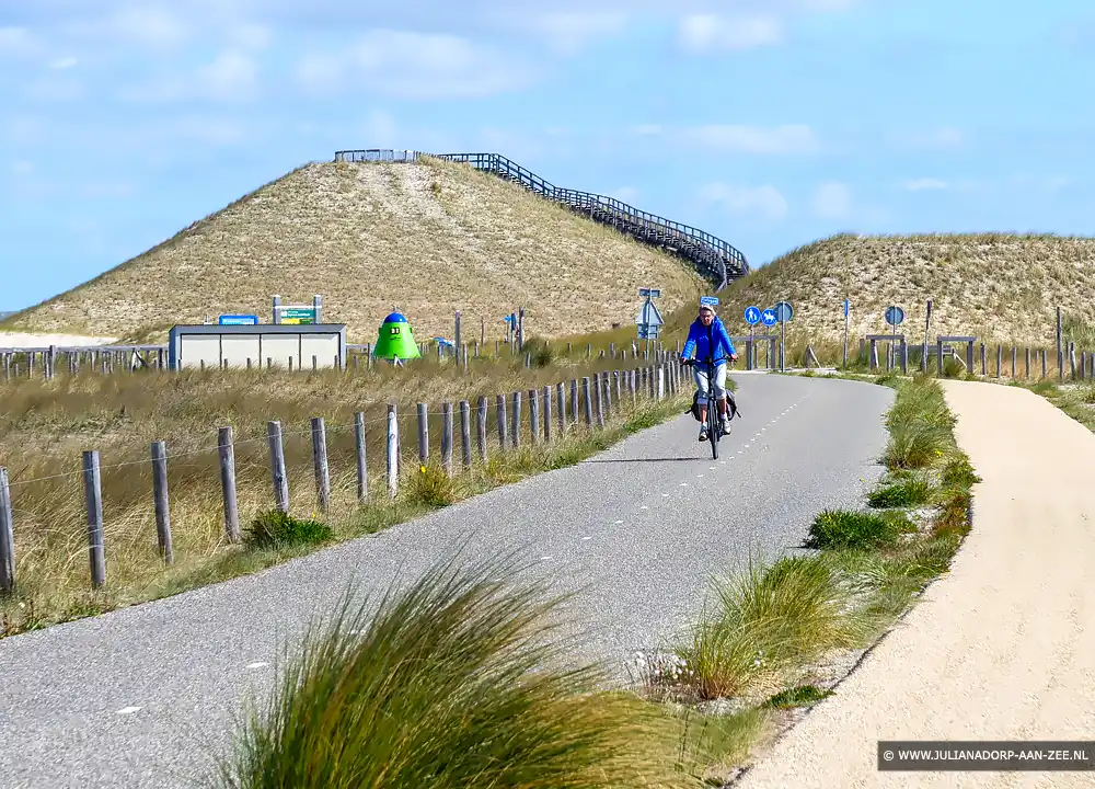 Panoramaduin in Petten.